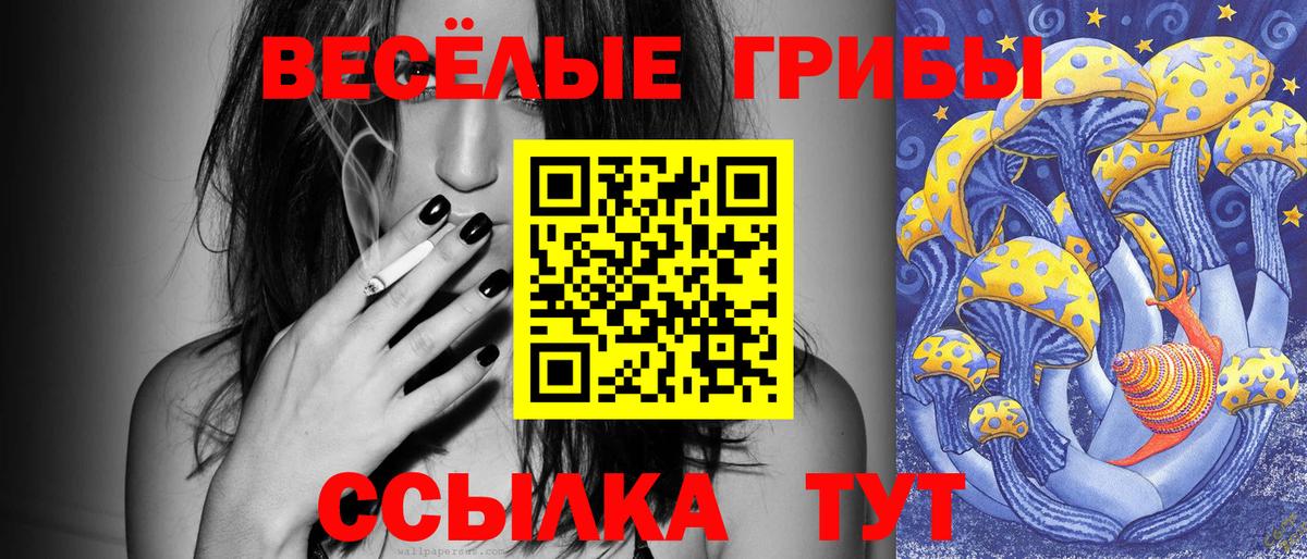 Галлюциногенные грибы GOLDEN TEACHER  закладка  Стрежевой  Вход с VPN 