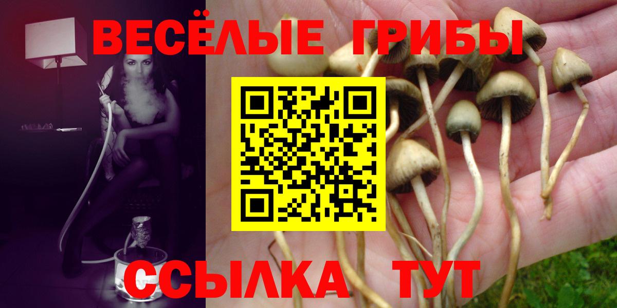 Псилоцибиновые грибы мухоморы Стрежевой